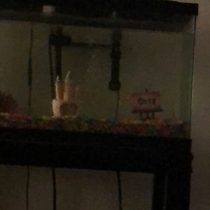 Meet your Posher, Lashawnte